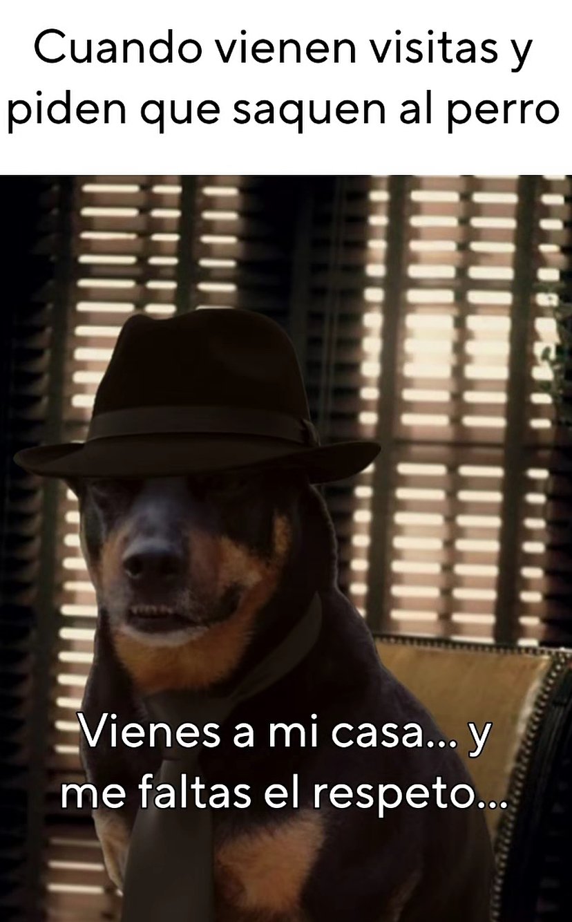 hO8AHwq.jpeg