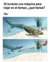 hbkj3YG.jpeg