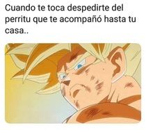 hpI1QGd.jpeg