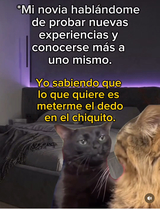 kjY01hc.jpeg