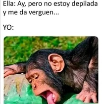 l0X8N1r.jpeg
