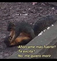 loCtsxe.jpeg