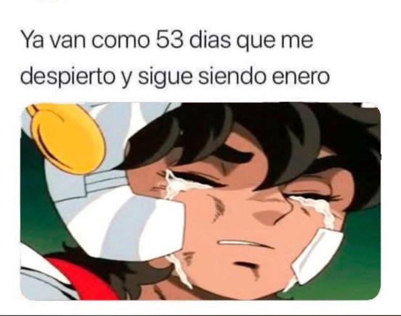 lsJVC7G.jpeg