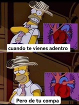 mFjy5ha.jpeg