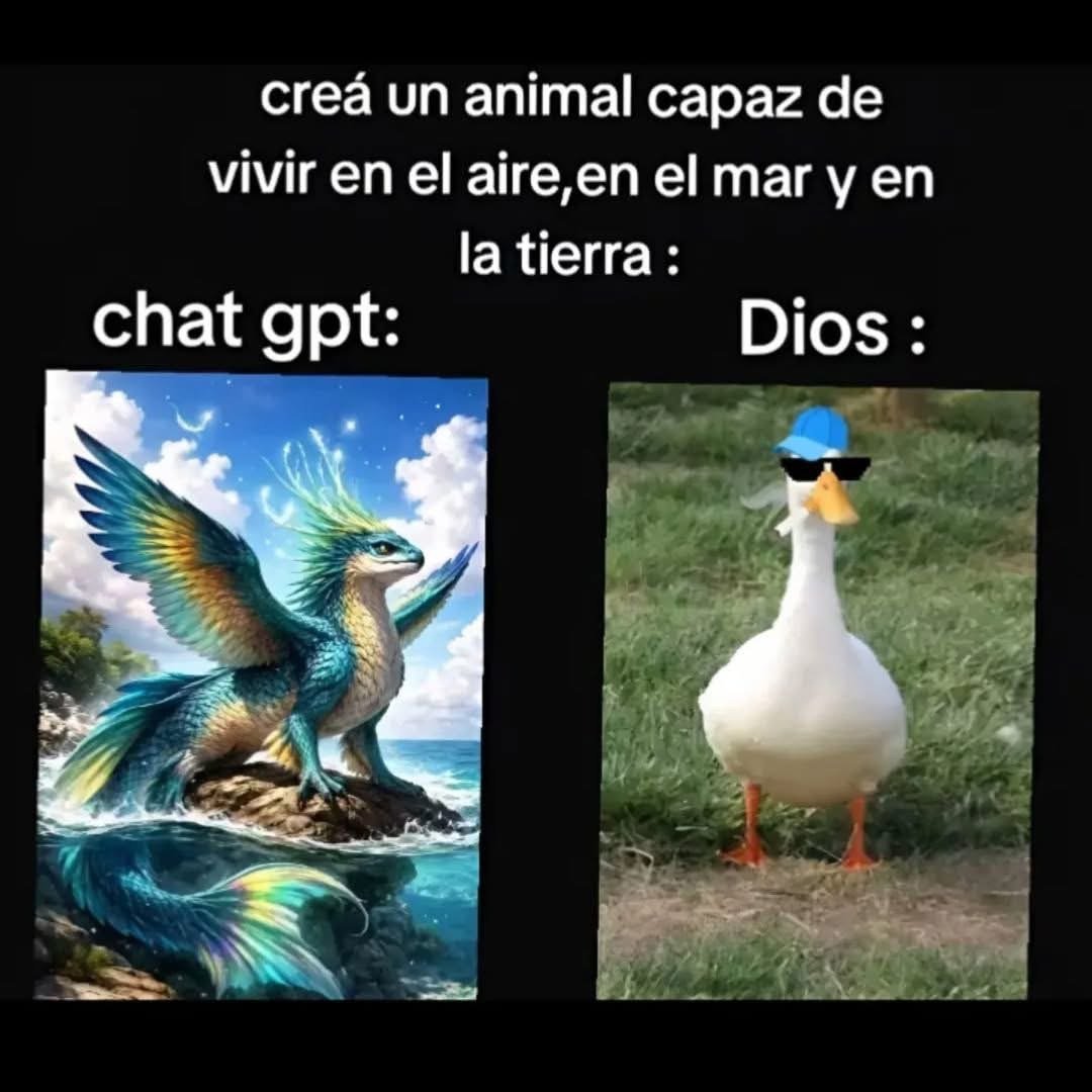 mvLXUGg.jpeg