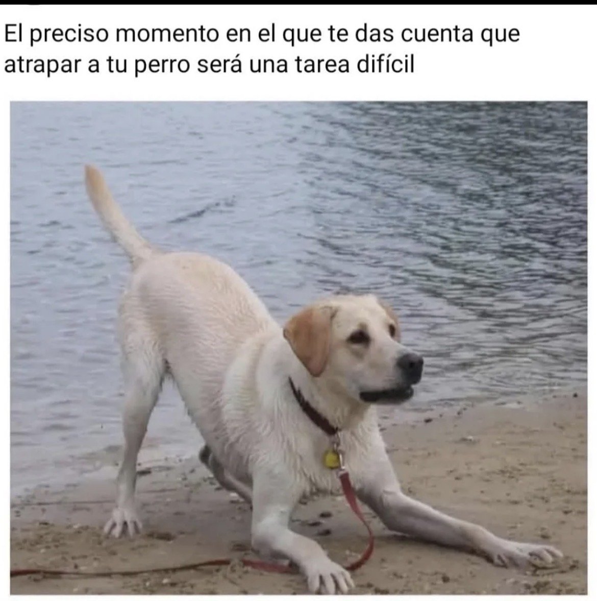 nEMQuJb.jpeg