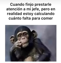nG8uSba.jpeg