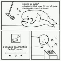 nYgejqD.jpeg