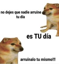 nw0Ge8s.jpeg