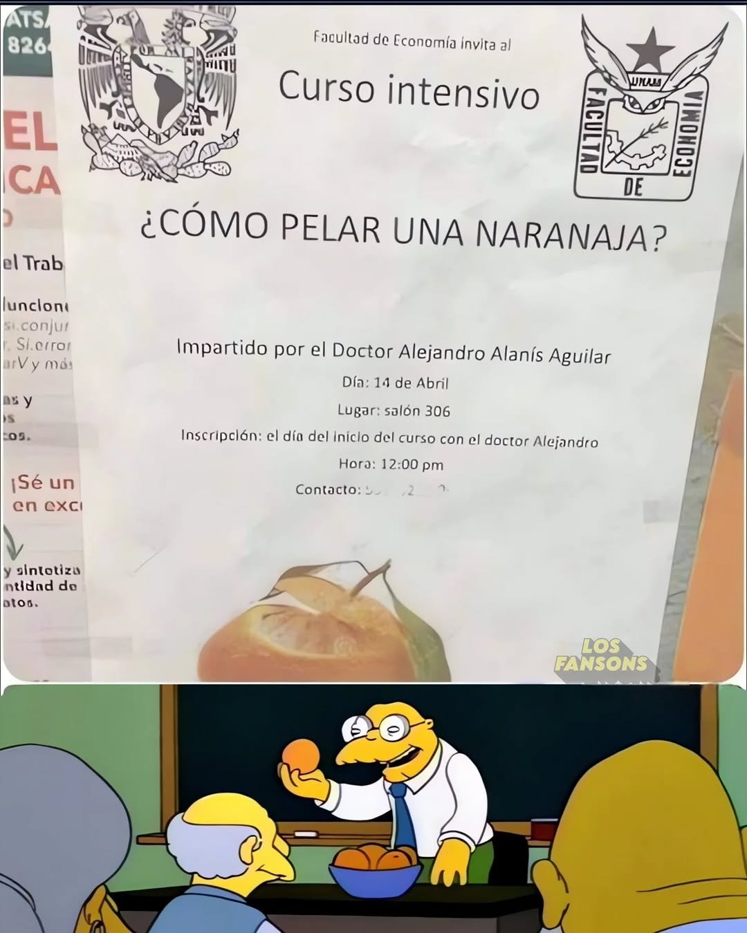 qQmpR4o.jpeg