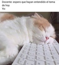 rUTtJV2.jpeg