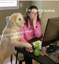 rp6ef8B.jpeg