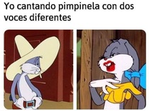 tYMW8CE.jpeg
