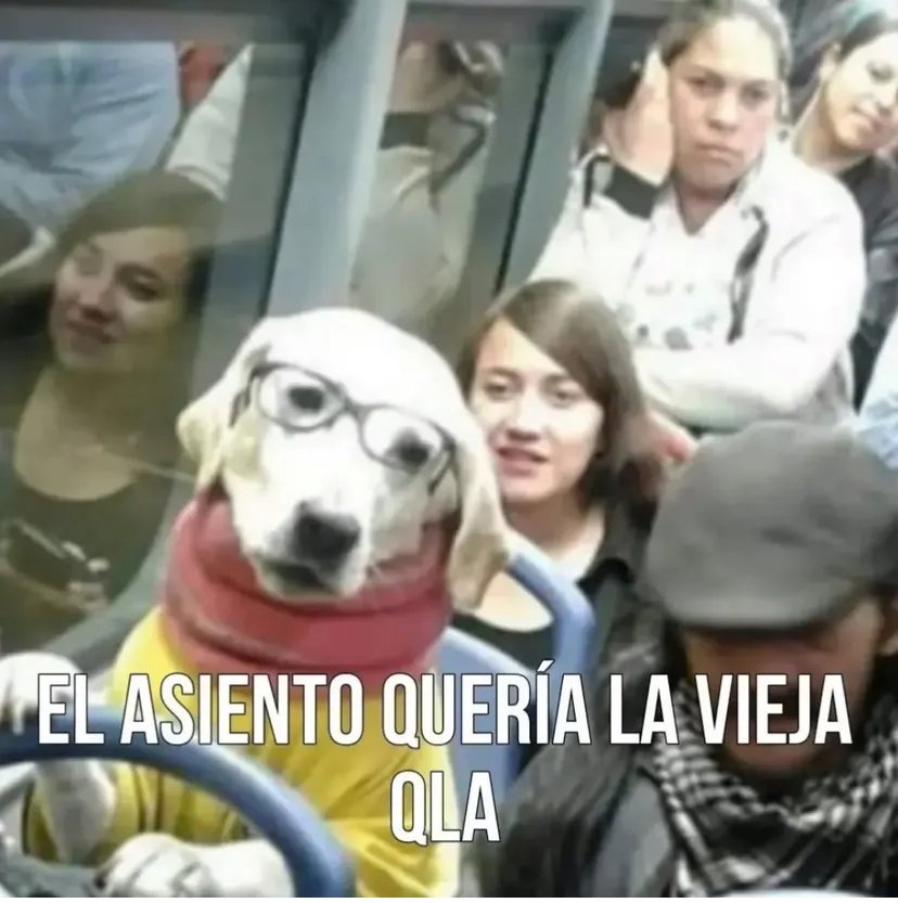 v0GXyOb.jpeg