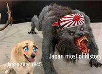 wZedco5.jpeg