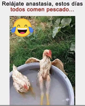 xXaPsrW.jpeg