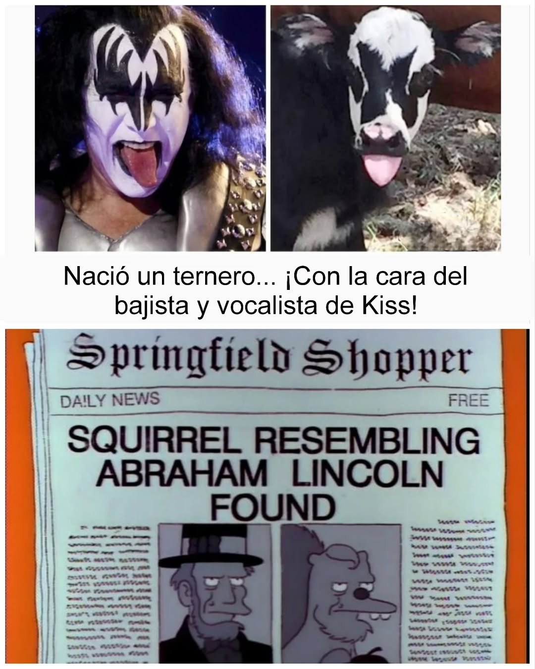 ySTqgZe.jpeg