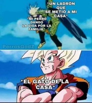 yVZeELB.jpeg