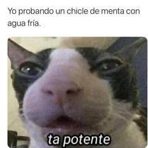 yfSHE8M.jpeg