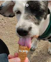 yg4WFIH.jpeg